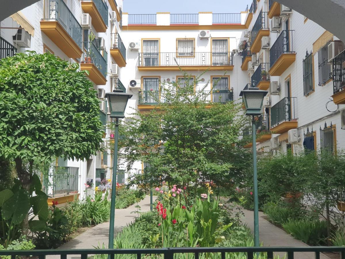 Nool Sevilla, Seville