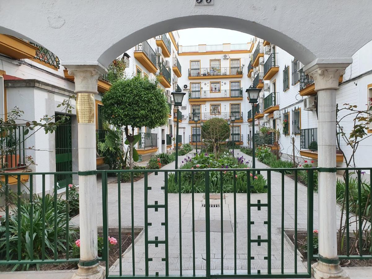 Nool Sevilla — Photos 1