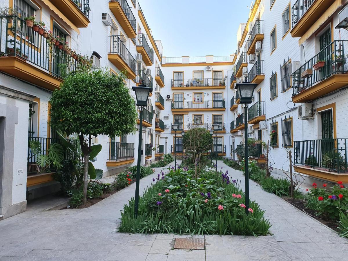Nool Sevilla — Photos 2